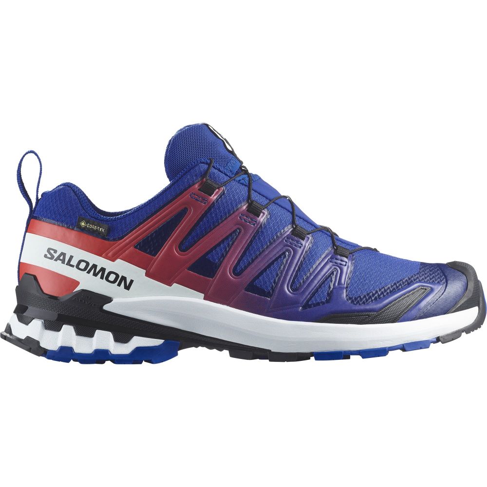 SALOMON - XA PRO 3D V9 GTX EQUIPE